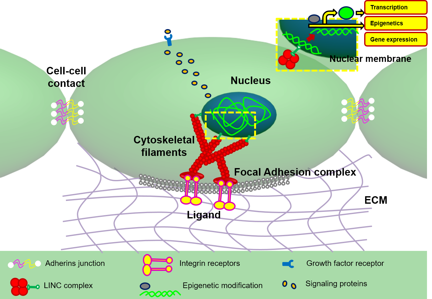 Context and Plasticity image